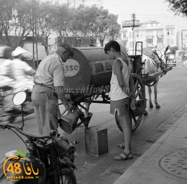 yaaffa oldjer (5).jpg